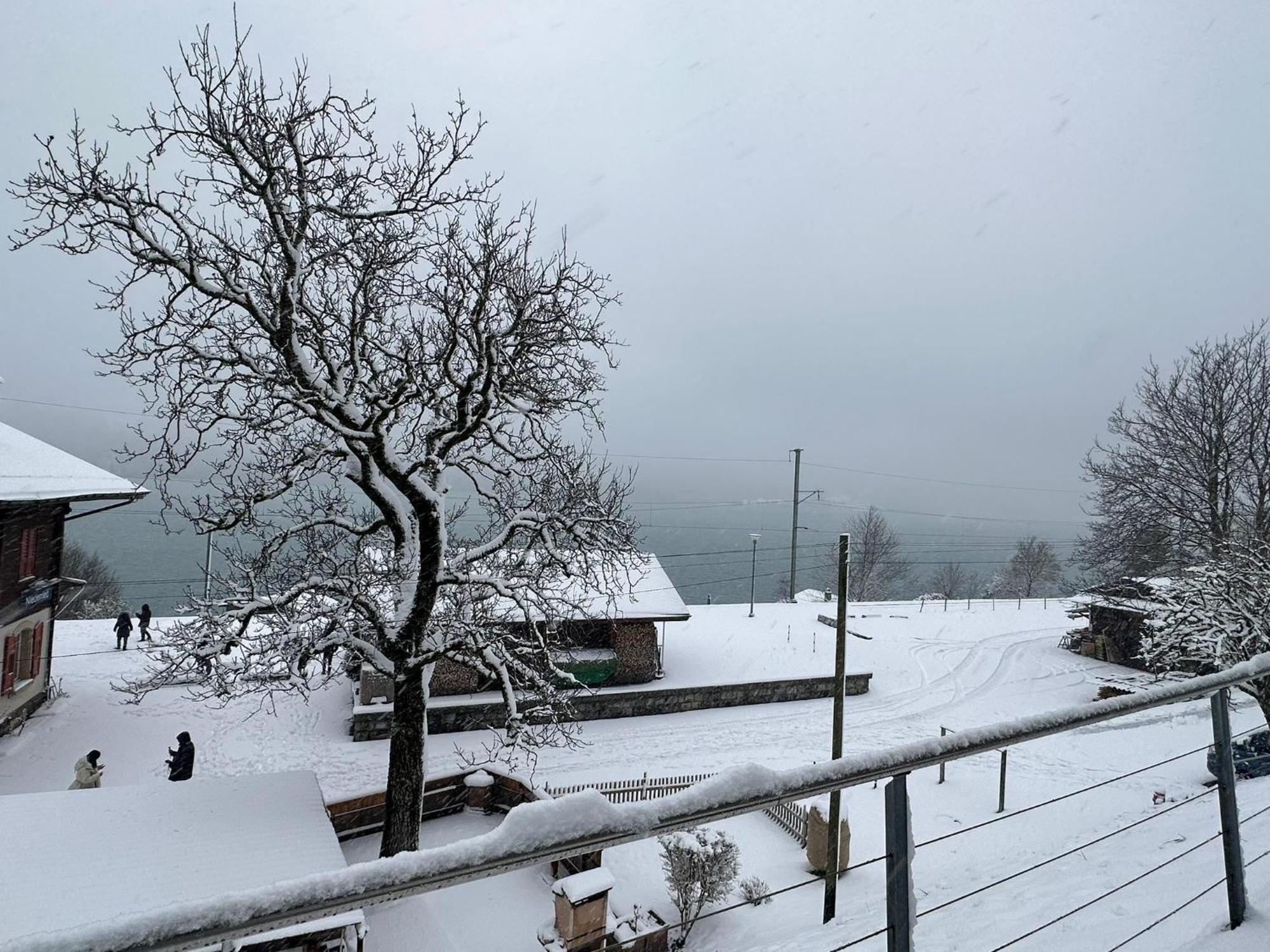 Lake Facing Studio Niederried bei Interlaken Exterior foto